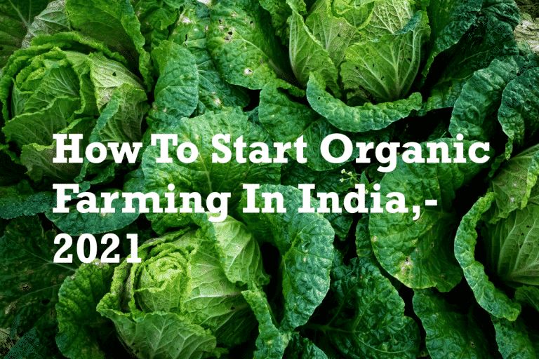 Organic Farming in India