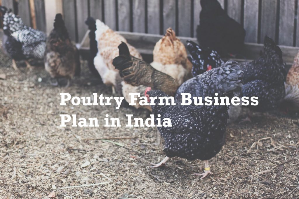 poultry farm business plan in tamil