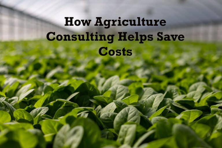 how-agri-consulting-saves-costs