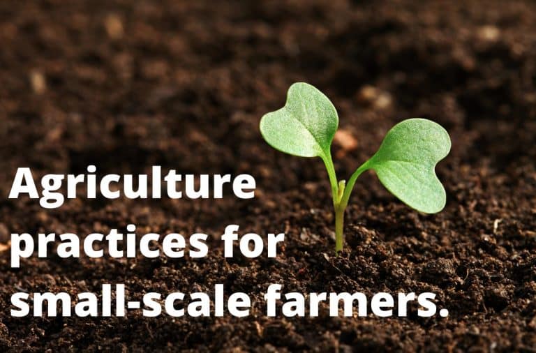 agriculture-practices-for-small-farmers