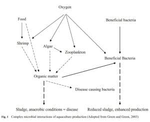 probiotics-in-aquaculture-kisaanmitrr