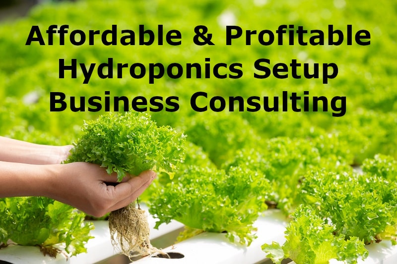 hydroponics-farming-consultancy