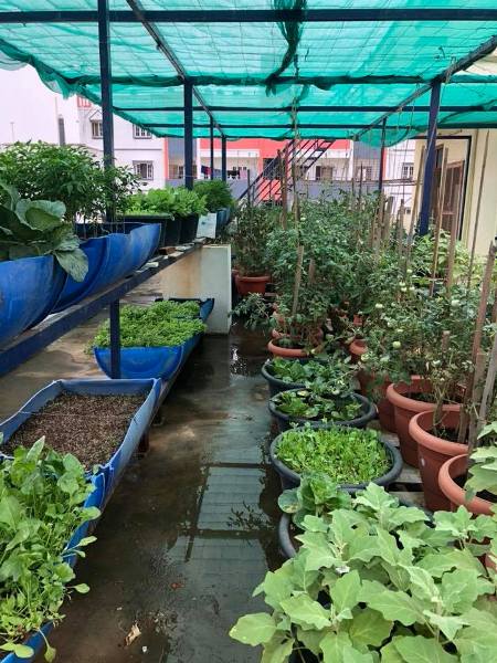 Terrace Garden System Setup - KisaanMitrr