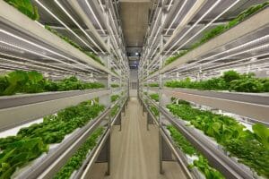 IFarm.fi_Vertical_farm_Finland