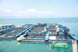 fisherman-looks-series-floating-net-cages-shore-beach-sustainable-fish-cul_762414-891