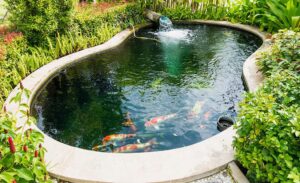 how-to-build-a-fish-pond-step-3