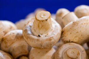 mushrooms-6757668_1280