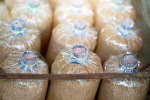 vecteezy_spore-bags-in-mushroom-cultivation-farms_34717609