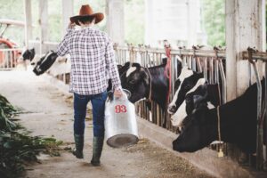 young-man-farmer-with-bucket-walking-along-cowshed-cows-dairy-farm